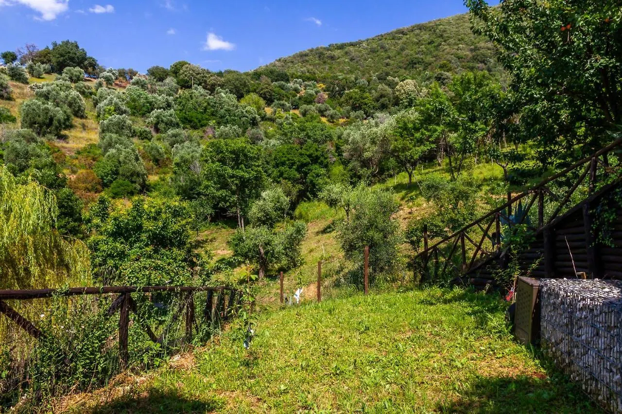 Lejlighed Belvedere Scarlino